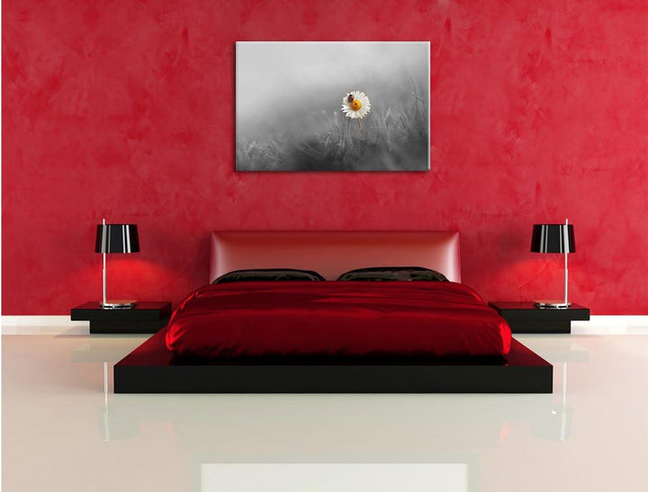 Pixxprint Gänseblümchen Marienkäfer als Leinwandbild/Grösse: 100x70 / Wandbild/Kunstdruck/fertig bes