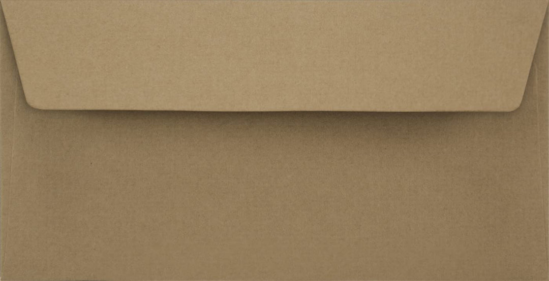 Netuno 500 Sandbraun DIN Lang Kraftpapier-Briefumschläge ohne Fenster 11 x 22 cm braune Umschläge DL