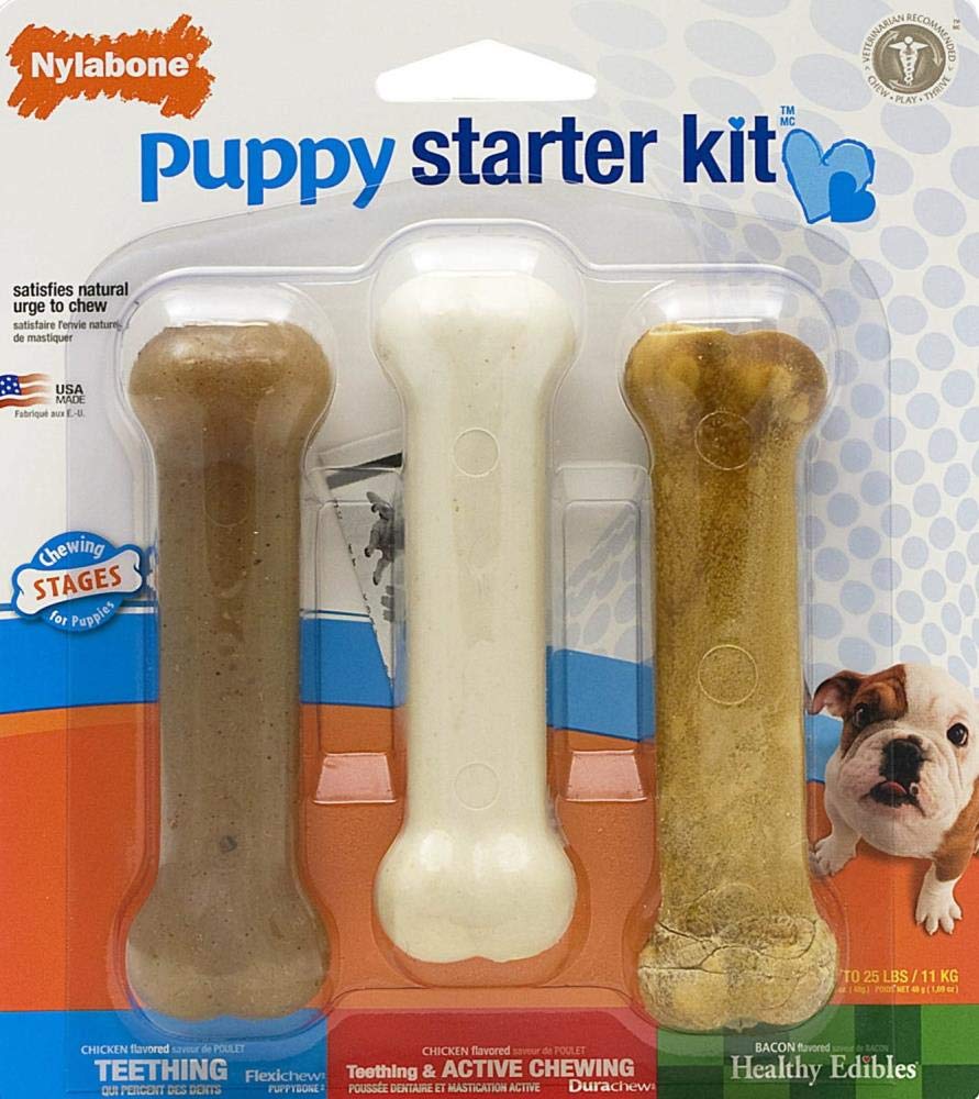 Nylabone Kauspielzeug für Welpen Starter Kit 3 Stück (1er Pack), 3 Stück (1er Pack)