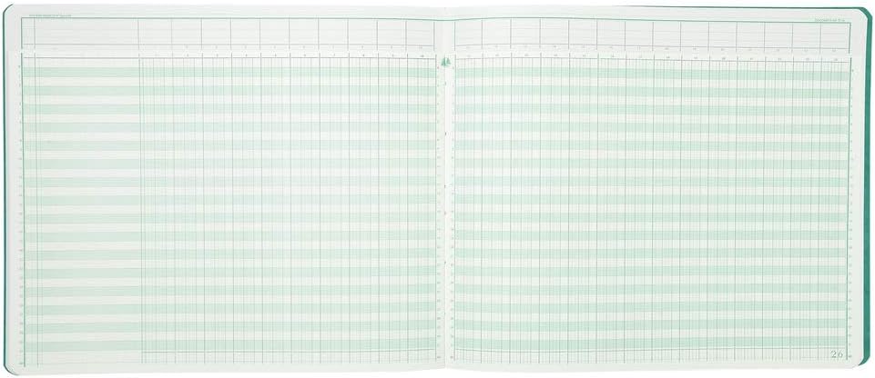 EXACOMPTA Geschâ€°ftsbuch mit Kopfleiste, 24 Spalten VE = 1