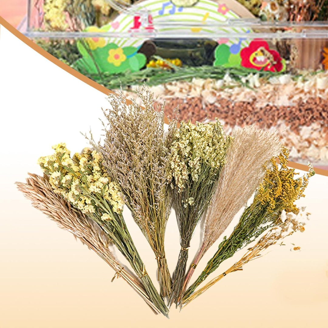 Hamster-Blumeneinstreu, Kleintier-Blumen, Lebensraum-Dekoration, Mäuse, Lebensraum, Dekoration, natü