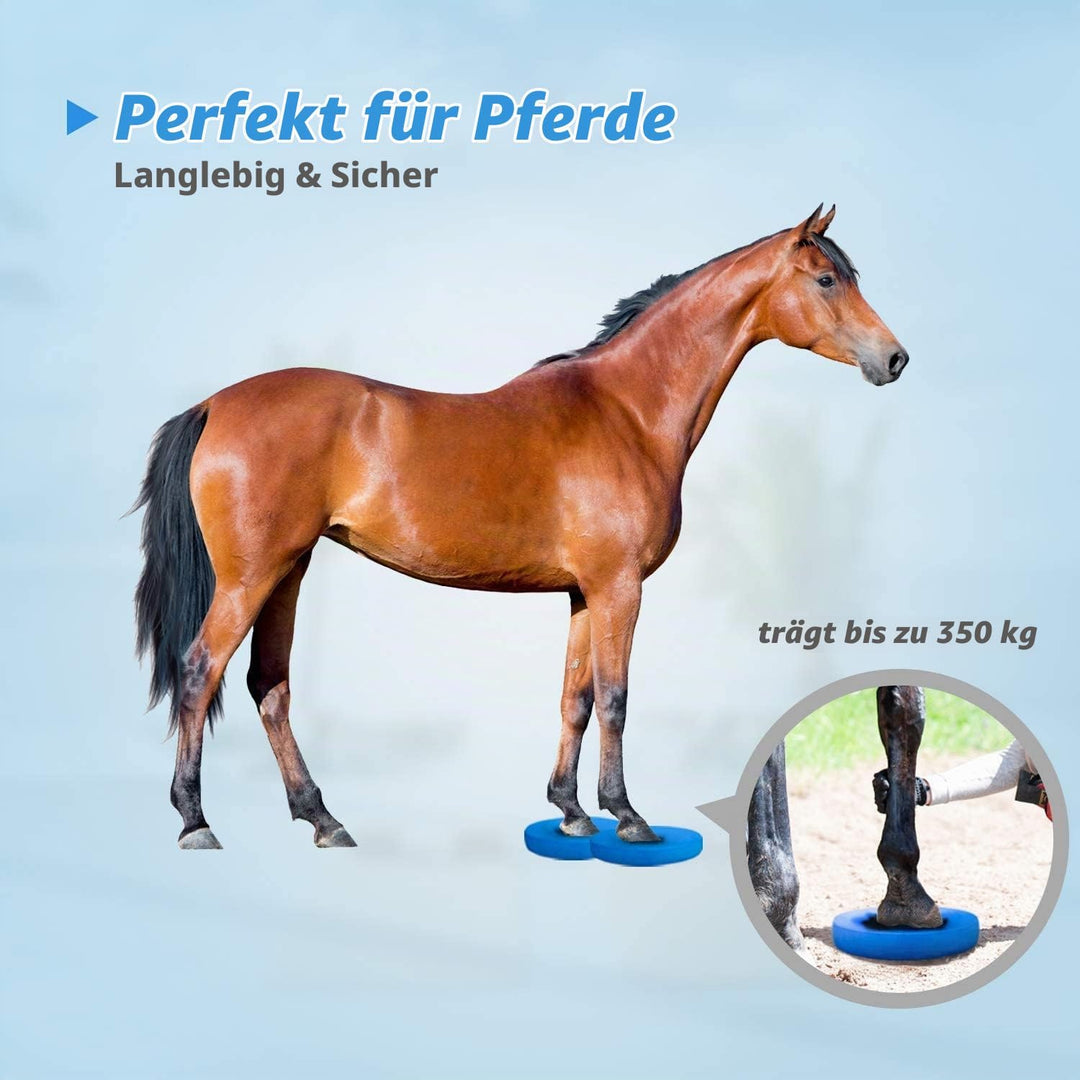 5BILLION Balance Pad - Oval - Übungspad &amp; Schaum Balance Trainer - Wobble Kissen für physikalische T