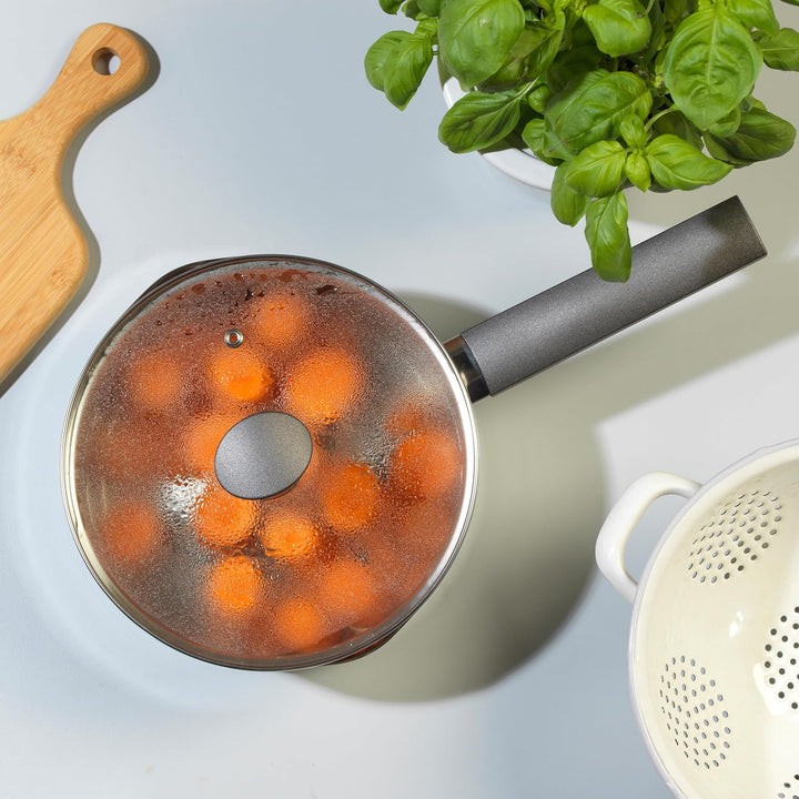 Russell Hobbs RH01164EU Excellence 20cm Stielkasserolle, 2.5L stieltopf mit Glasdeckel, hochglanzpol