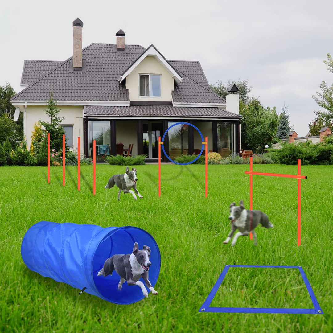 AufuN Agility Ausrüstungs Set für Hunde, Training Hindernisse mit Hundetunnel,Geflochtene Stangen, S