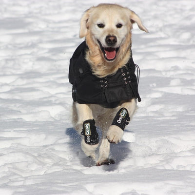Ortocanis - Karpalgelenkbandage für Hunde mit Arthrose, Bänder- oder Sehnenverletzungen, Grösse S, G