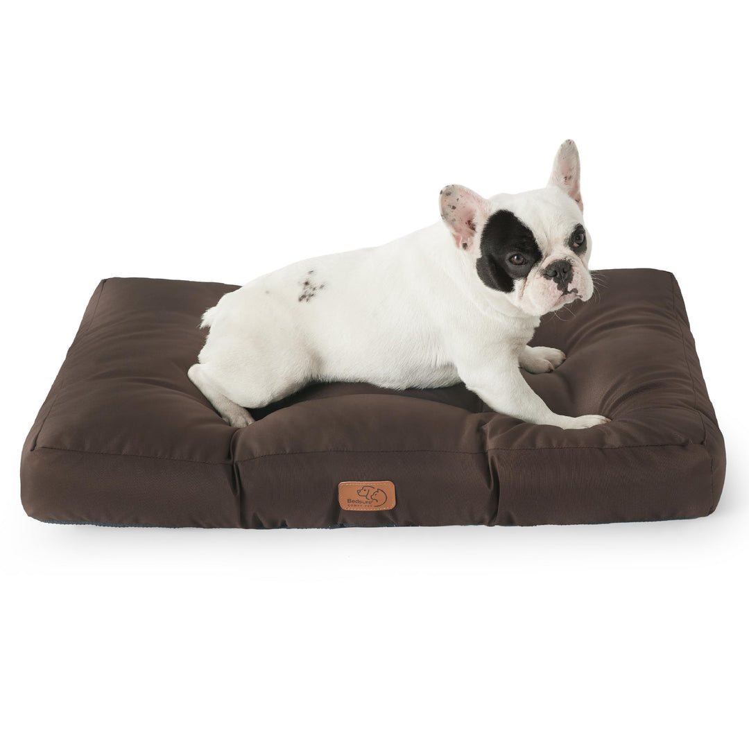BEDSURE Hundekissen kleine Hunde waschbar - 76x50cm hundematratze wasserdicht M für kleine, mittelgr