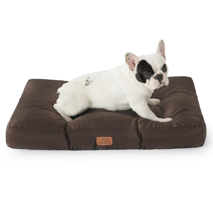 BEDSURE Hundekissen kleine Hunde waschbar - 76x50cm hundematratze wasserdicht M für kleine, mittelgr