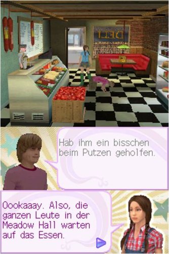 Hannah Montana: Der Film Nintendo DS, Nintendo DS