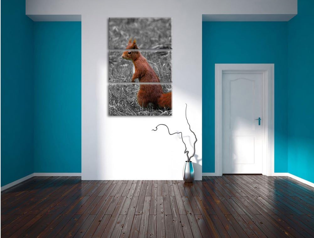 Pixxprint kleines Eichhörnchen auf Waldboden schwarz/weiss 3-Teiler Leinwandbild 120x80 Bild auf Lei