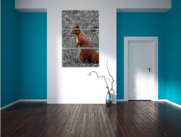 Pixxprint kleines Eichhörnchen auf Waldboden schwarz/weiss 3-Teiler Leinwandbild 120x80 Bild auf Lei