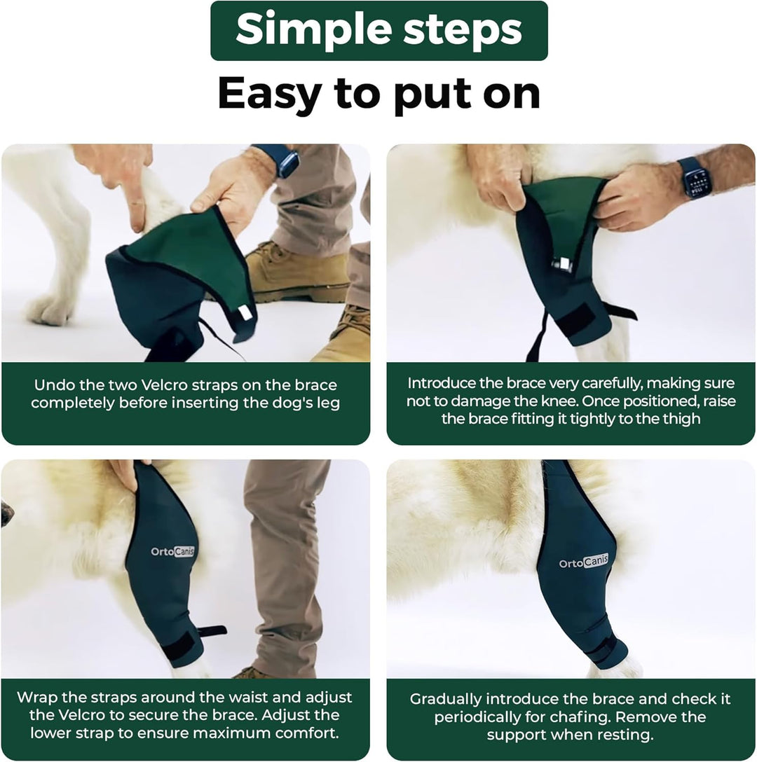 Ortocanis - Kniebandage für Hunde mit Kreuzbandverletzungen, Patellaluxation oder Arthrose, Grösse X