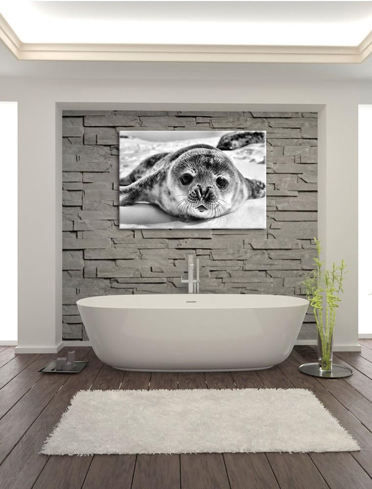 Pixxprint Süsses Robben Baby / 100x70cm Leinwandbild bespannt auf Holzrahmen/Wandbild Kunstdruck Dek