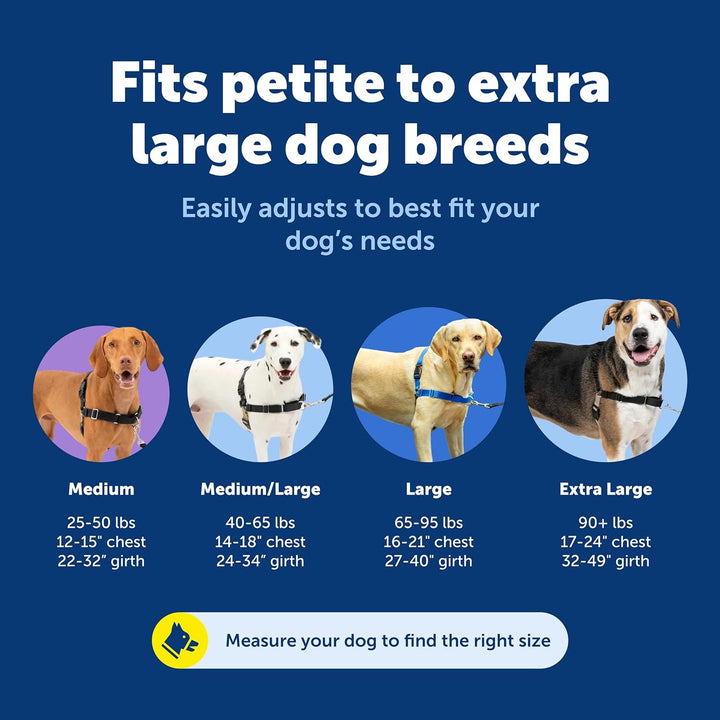 PetSafe Easy Walk Hundegeschirr. Apfelgrün/Grau Medium, Apfelgrün/Grau Medium