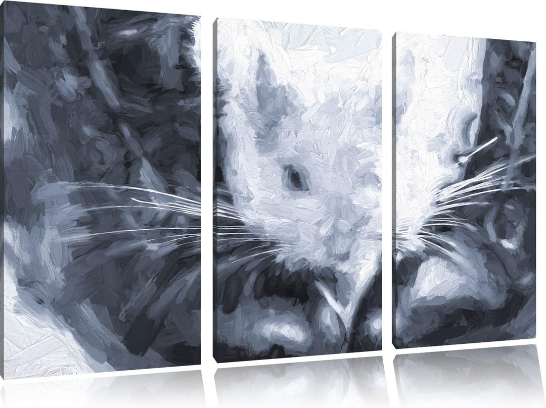 Pixxprint Chinchilla zwischen Schuhen als Leinwandbild/Grösse: 3 Teilig (120x80) cm/Wandbild/Kunstdr