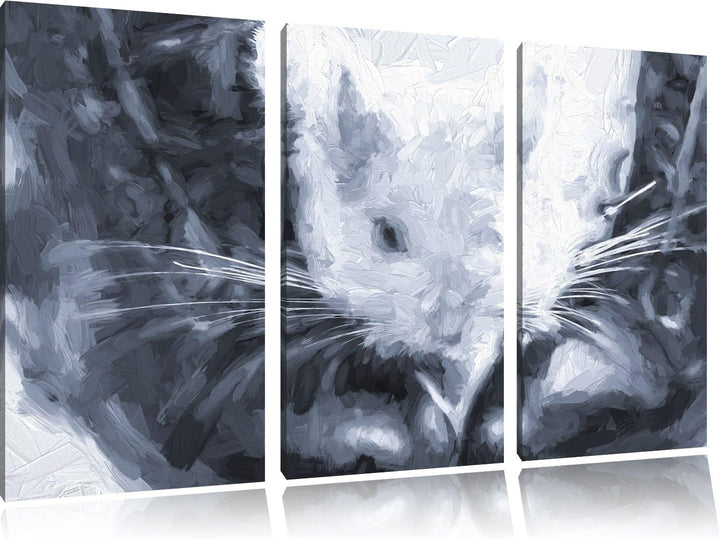 Pixxprint Chinchilla zwischen Schuhen als Leinwandbild/Grösse: 3 Teilig (120x80) cm/Wandbild/Kunstdr