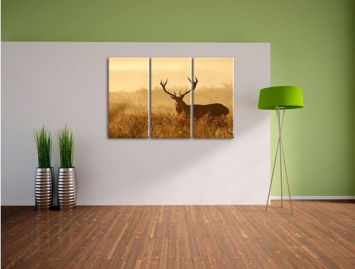 Pixxprint Rotwild Hirsch in Abenddämmerung 3-Teiler Leinwandbild 120x80 Bild auf Leinwand