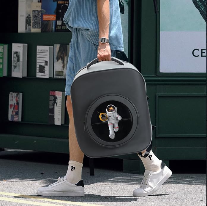 Missyou 3D Hologram Fan Backpack,20CM 3D Hologram Projector Advertising Display with Cover, 700 Vide