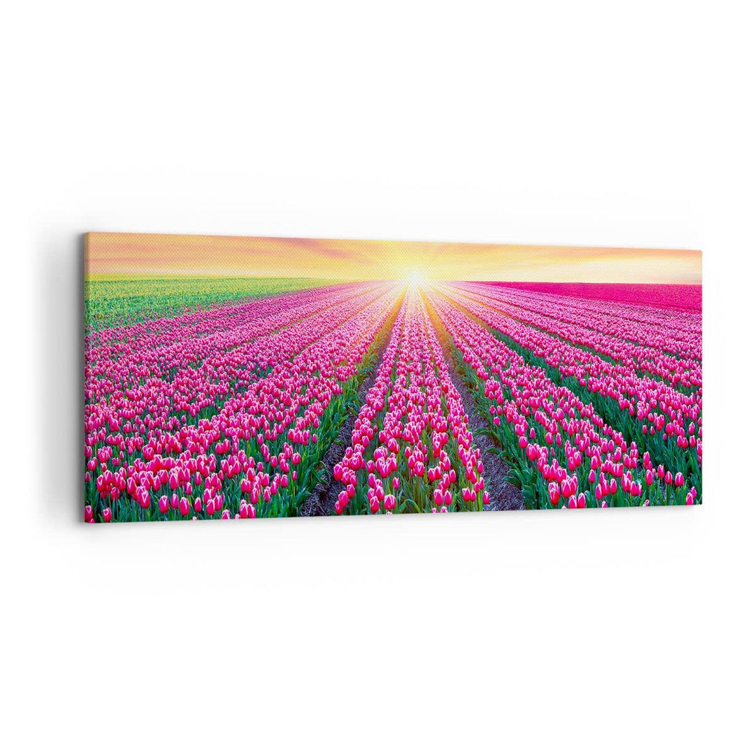 Wandbilder Dekoration Wohnzimmer Wiese Tulpen Sonnenuntergang Frühling Bilder auf Leinwand 120x50cm