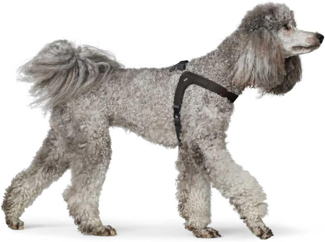 Hunter Hundegeschirr DIMARO, Farbe: schwarz, weiches & Robustes Rindsleder, hervorragende Passform,