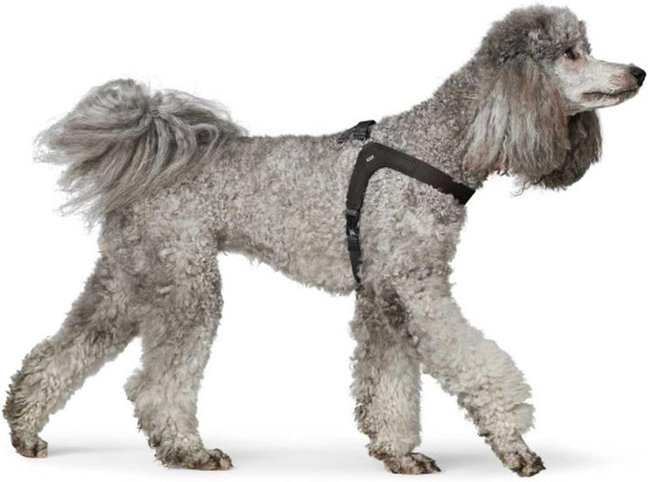 Hunter Hundegeschirr DIMARO, Farbe: schwarz, weiches & Robustes Rindsleder, hervorragende Passform,