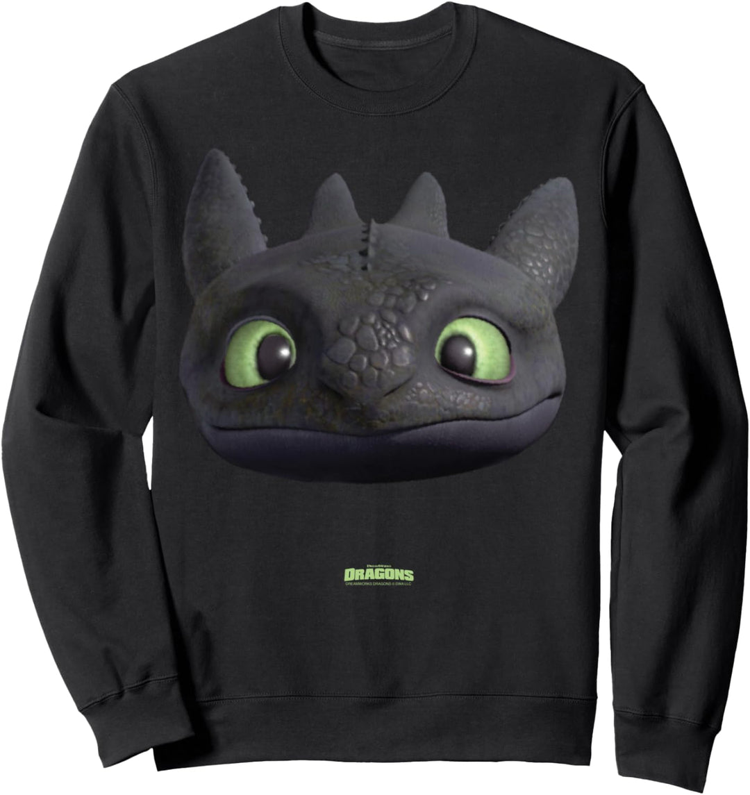 DreamWorks Dragons Toothless Night Fury Big Face Costume 3D Sweatshirt