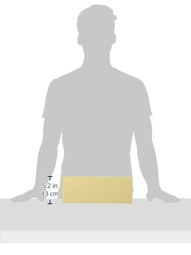 3B Scientific Menschliche Anatomie - Set mit 5 Lendenwirbeln + kostenlose Anatomie App - 3B Smart An