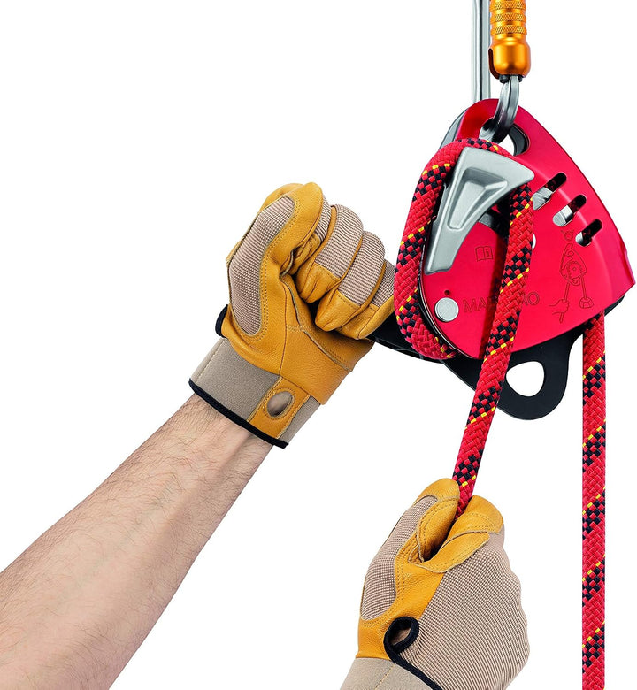 Descender Maestro L