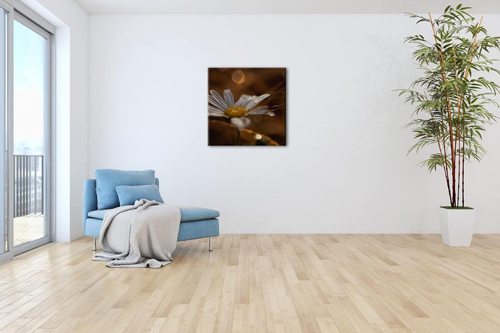Margerite im Morgentau Format: 70x70 als Leinwandbild, Motiv fertig gerahmt auf Echtholzrahmen, Hoch