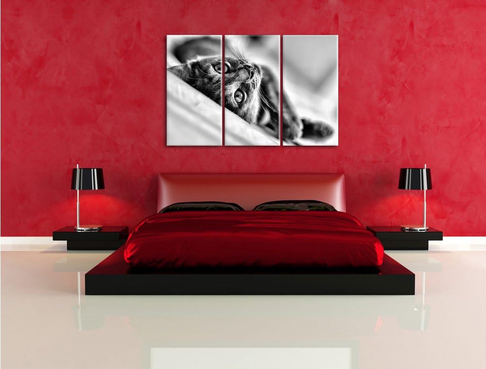 Pixxprint Monocrome, Niedliche Katze liegt im Bett 3-Teiler Leinwandbild 120x80 Bild auf Leinwand