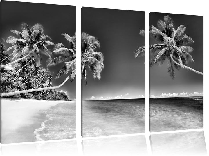 Pixxprint Monocrome, Palmen über dem Meer 3-Teiler Leinwandbild 120x80 Bild auf Leinwand