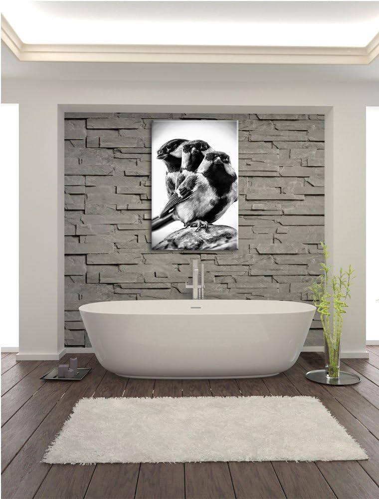 Pixxprint schöne Blaumeisen / 100x70cm Leinwandbild bespannt auf Holzrahmen/Wandbild Kunstdruck Deko