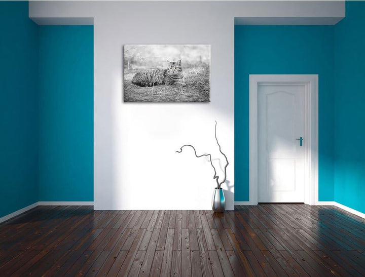 ruhende Katze auf Waldboden schwarz/weiss Format: 100x70 auf Leinwand, XXL riesige Bilder fertig ger