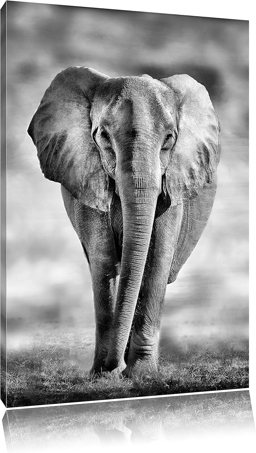 Pixxprint Elefant in Savanne als Leinwandbild/Grösse: 100x70 cm/Wandbild/Kunstdruck/fertig bespannt,