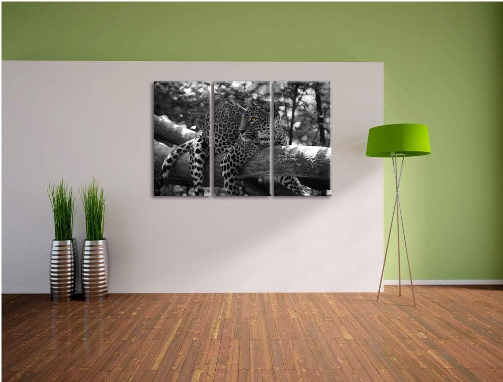 Pixxprint liegender Leopard auf AST als Leinwandbild | Grösse: 3 Teilig (120x80) | Wandbild| Kunstdr