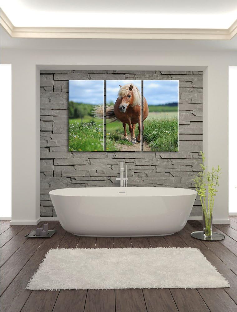 Pixxprint Shetlandpony auf der Wiese 3-Teiler Leinwandbild 120x80 Bild auf Leinwand