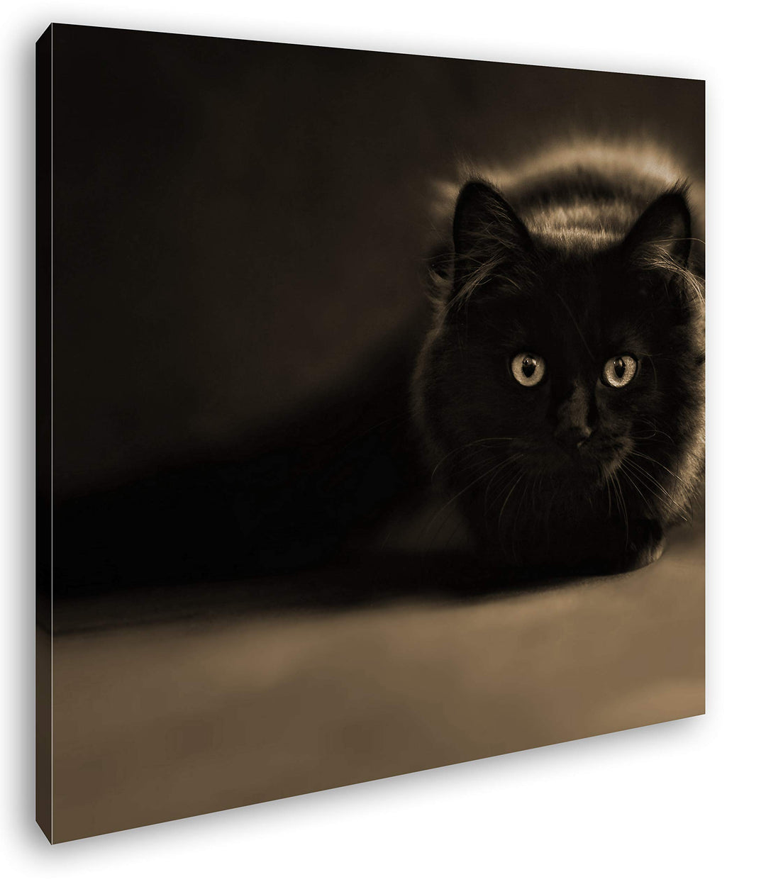 deyoli lauernde Schwarze Katze Format: 60x60 Effekt: Sepia als Leinwandbild, Motiv auf Echtholzrahme