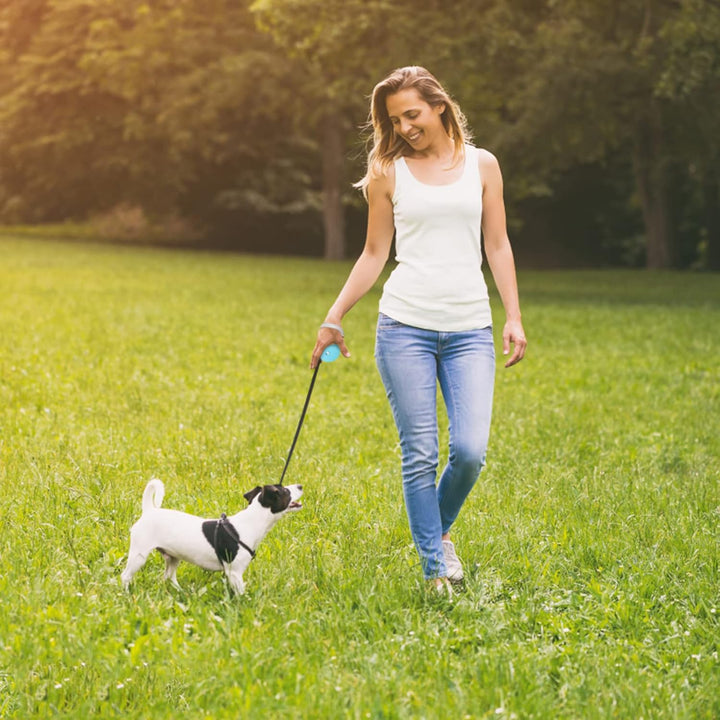 Einziehbare Hundeleine für kleine und mittelgrosse Hunde bis zu 10 kg mit 3 m starkem Nylonband, fre