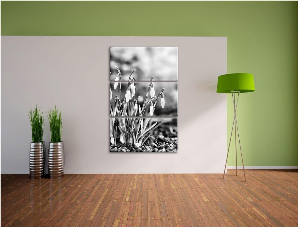 Pixxprint Schneeglöckchen am Waldrand als Leinwandbild/Grösse: 3 Teilig (120x80) cm/Wandbild/Kunstdr