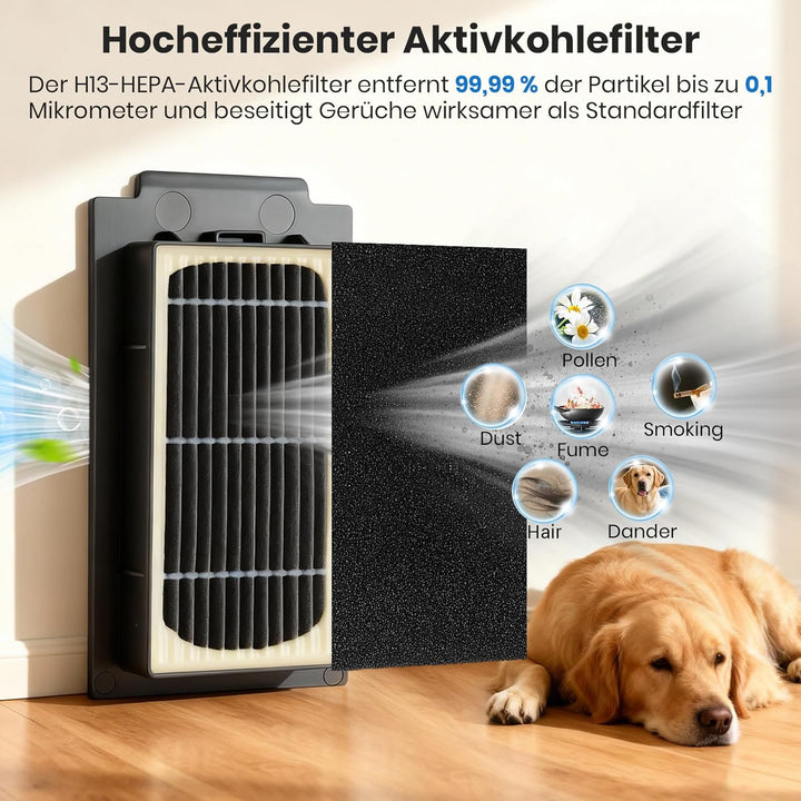 25 Stück Ersatzteil Zubehör für Ecovacs Deebot T30C Omni / T30C Saugroboter, 2 Hauptbürste, 6 Wischt