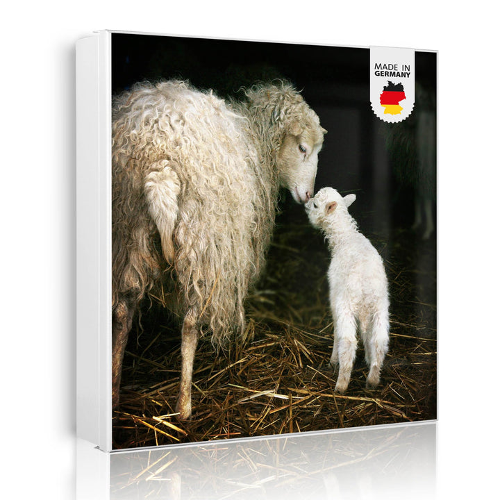 banjado® Grosser Schlüsselkasten Glas/Schlüsselbox 30cm x 30cm mit 50 Haken - Motiv Schaf Und Lamm/S