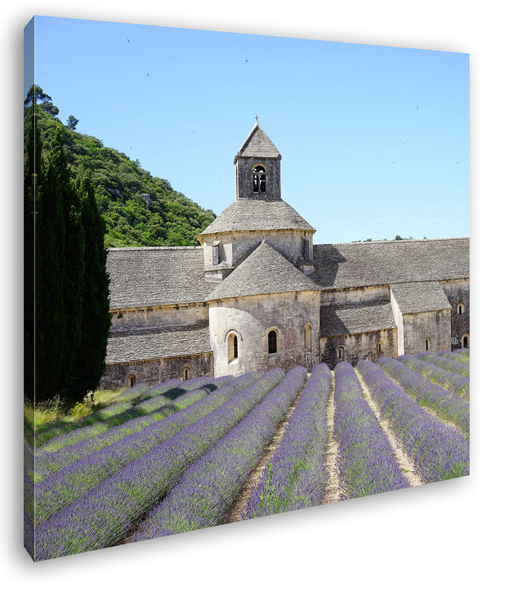 Lavendel Feld in der Toskana Format: 60x60 als Leinwandbild, Motiv fertig gerahmt auf Echtholzrahmen