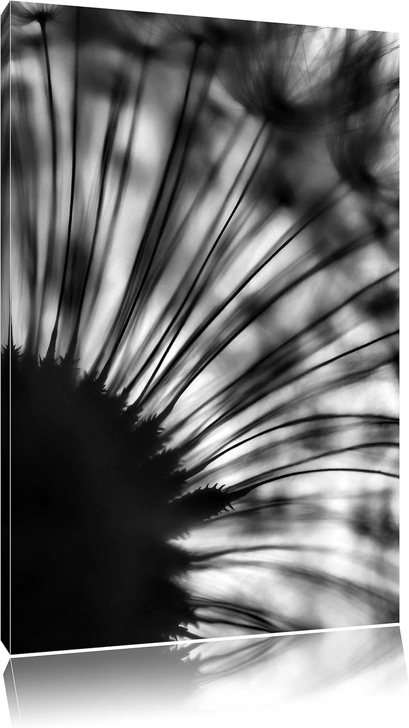 Pixxprint Monocrome, Pusteblume schwarz/weiss, Format: 100x70 auf Leinwand, 100x70