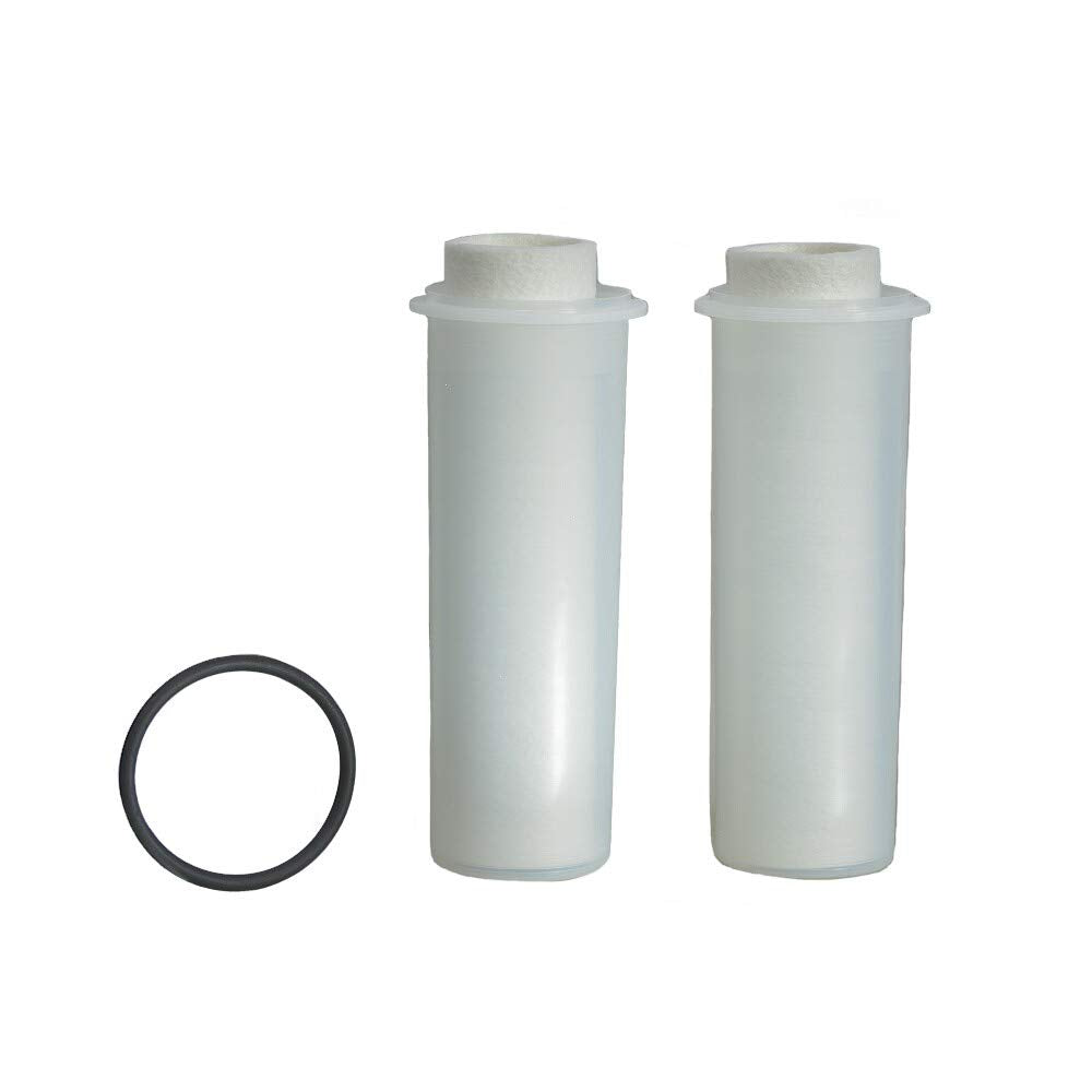 Grünbeck Ersatzfilter für Wasserfilter FS 1 1/4" 2er Pack (50 µm mit Schutzglocke) *** (Filterhülse