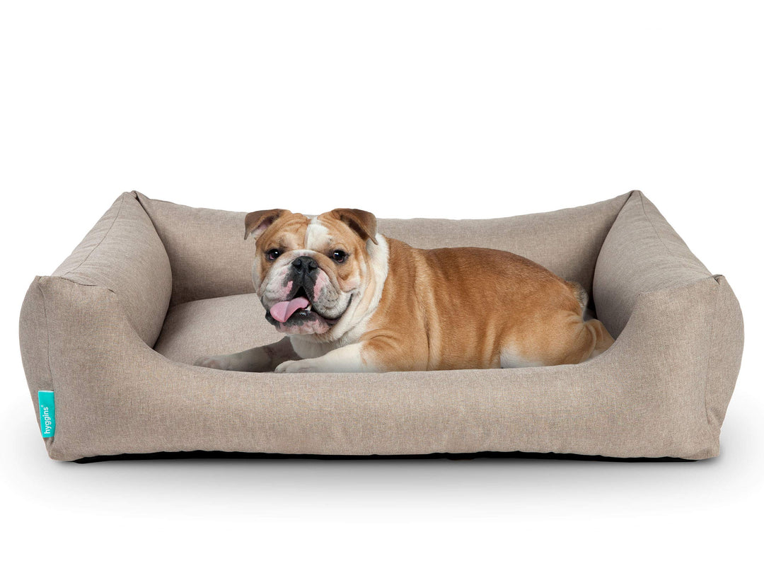 Hyggins Dreamer Pure Hundebett | Bezug abnehmbar und waschbar | Robust und pflegeleicht (S 60 x 44cm