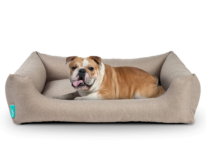 Hyggins Dreamer Pure Hundebett | Bezug abnehmbar und waschbar | Robust und pflegeleicht (S 60 x 44cm