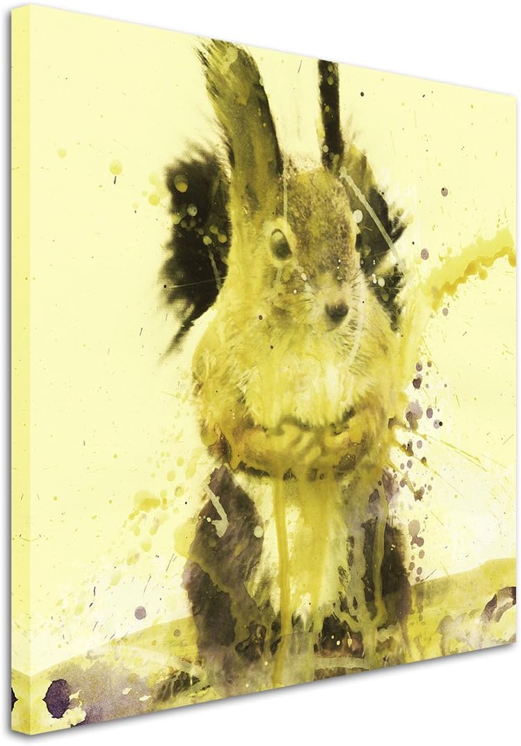Cute_Cquirrel_60x60cm Splash Art Paul Sinus Aquarell, Gemälde, Kunstbild auf Leinwand