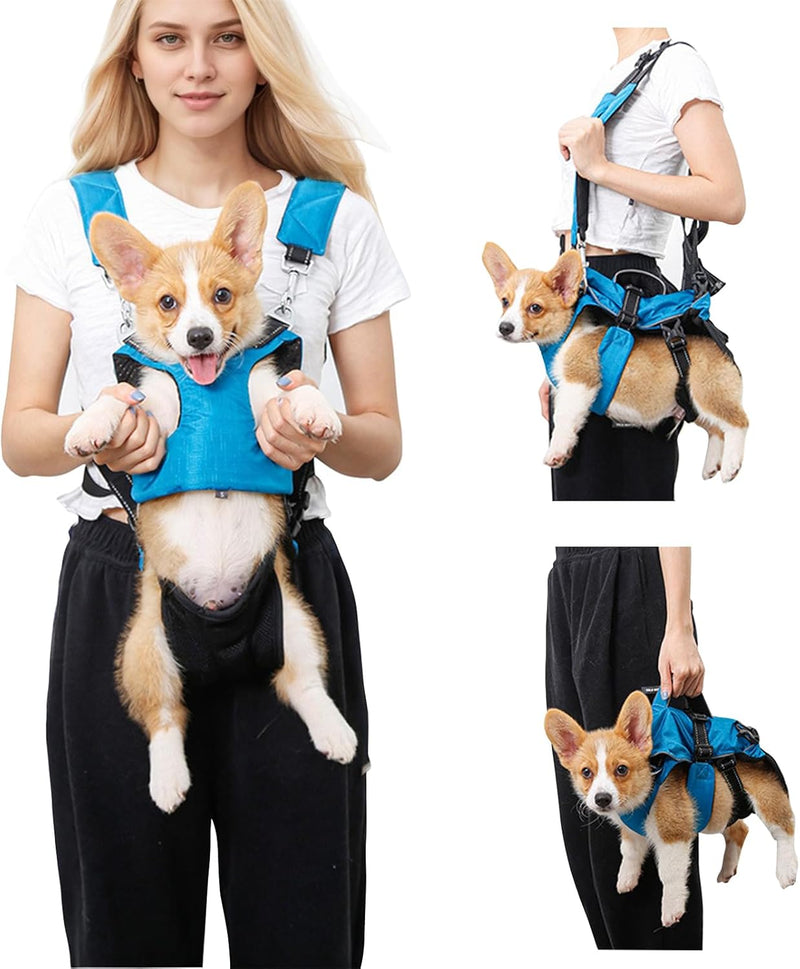 PETCUTE Haustier Rucksack Hundetragetasche,Verstellbare Brust Hunderucksack für Klein Hunde Katzen,T