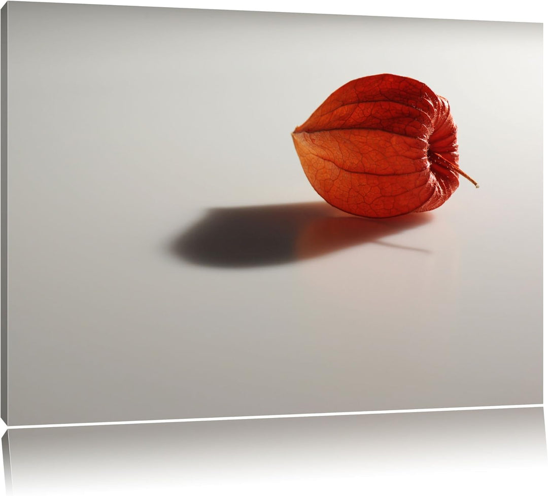 Pixxprint kleine Physalis auf Leinwand, XXL riesige Bilder fertig gerahmt mit Keilrahmen, Kunstdruck
