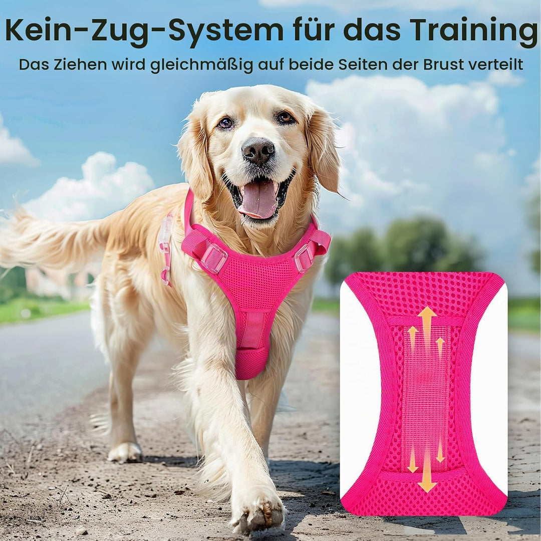 Light Up Dog Hundegeschirr Leuchtend LED Aufladbar - Leuchtgeschirr Leuchtend für Klein Mittelgrosse
