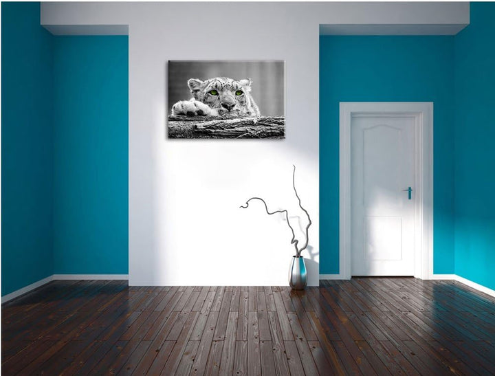 Schöner Gepard mit grünen Augen auf Baumstamm schwarz/weiss Format: 100x70 auf Leinwand, XXL riesige
